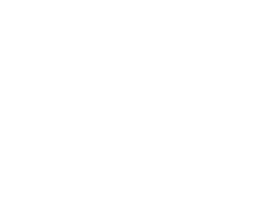 Abby Basket Case